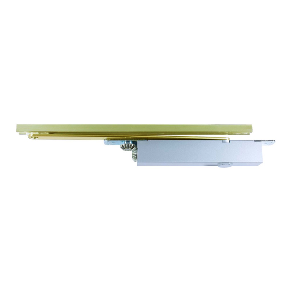 Medium Duty Adjustable Power Concealed Cam Action Door Closer - Polished Brass