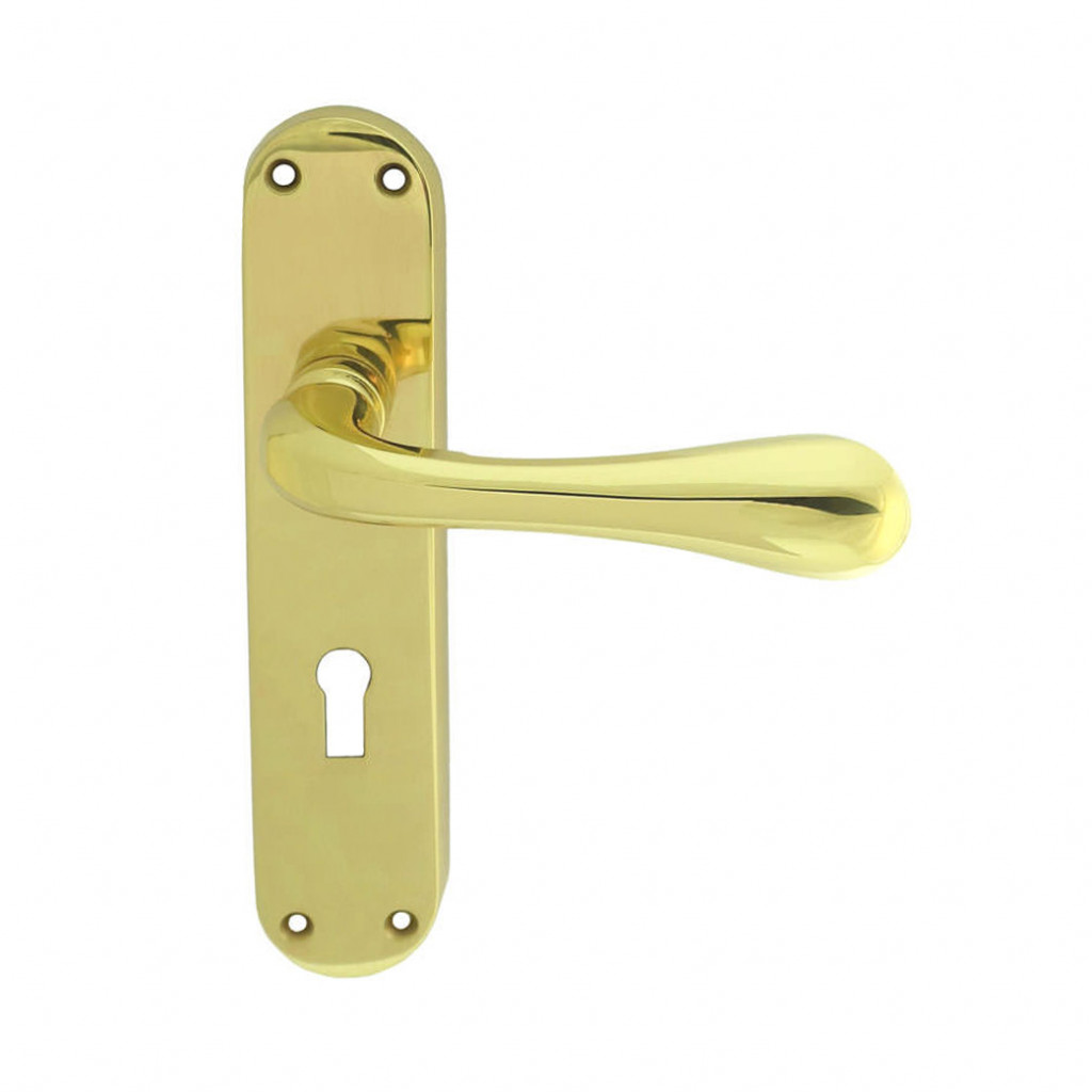 Carlisle Brass Manital Astro Lever on Lock Plate - Polished Brass