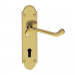 Carlisle Brass Oakley Lever on Plate - Polished Brass