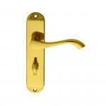 Carlisle Brass Andros Lever on Plate - Polished Brass