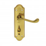 Carlisle Brass Ashtead Lever on Plate - Polished Brass