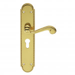 Carlisle Brass Chesham Lever on Long Lock Plate - Polished Brass