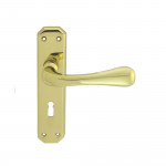 Carlisle Brass Eden Lever on Plate - Polished Brass