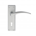 Carlisle Brass Wing Lever on Plate - Satin Chrome Plate