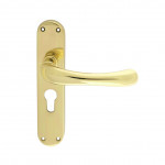 Carlisle Brass Manital Ibra Lever on Plate - Polished Brass