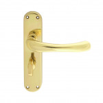 Carlisle Brass Manital Ibra Lever on Plate - Polished Brass