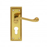 Carlisle Brass Georgian Lever on Plate - Polished Brass