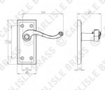 Carlisle Brass Georgian Lever on Plate - Polished Brass