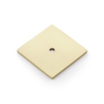 Alexander & Wilks Bullion Square Backplate 45 x 45mm