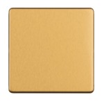 Carlisle Brass Eurolite Concealed 3mm Single Blank Plate