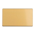 Carlisle Brass Eurolite Concealed 3mm Double Blank Plate