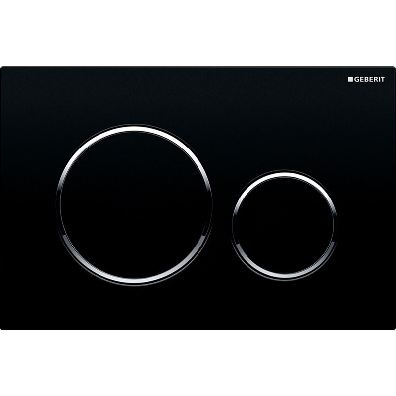 Geberit Sigma20 Dual Flush Plate - Black Polished